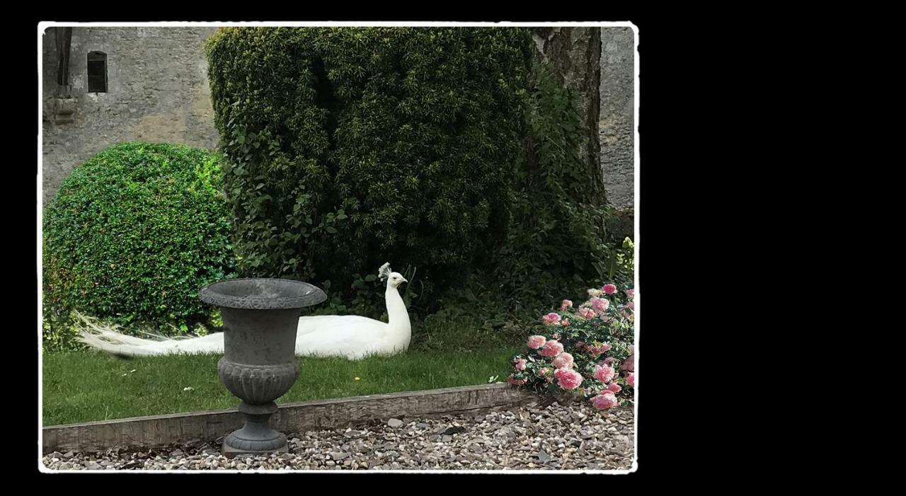 مبيت وإفطار Saint-Germain-de-Livet Manoir De Livet المظهر الخارجي الصورة